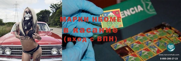 шишки Аркадак