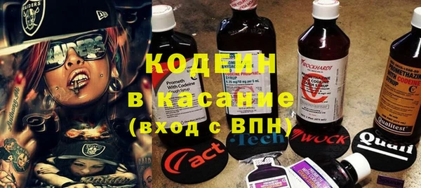 шишки Аркадак