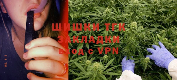 крисы Новокубанск