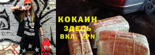 шишки Аркадак