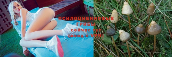 прущая мука Новодвинск